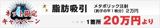 脂肪吸引ネット限定キャンペーン