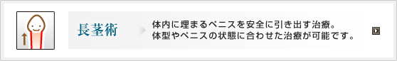 長茎術