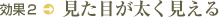 効果2見た目が太く見える