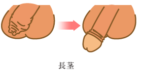 長茎イラスト
